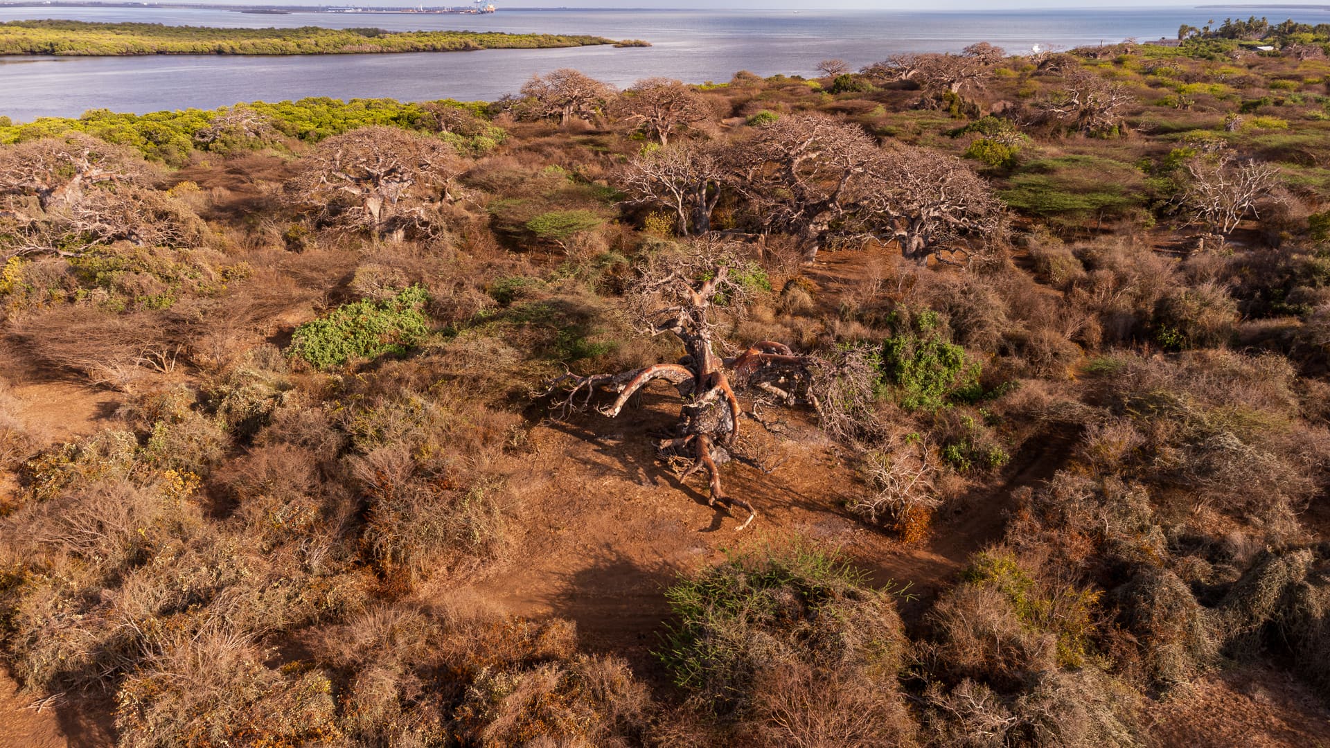 Manda Conservancy landscape