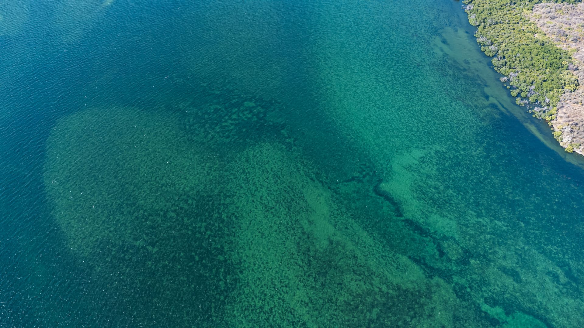 Aerial view of an East African coastal archipelago