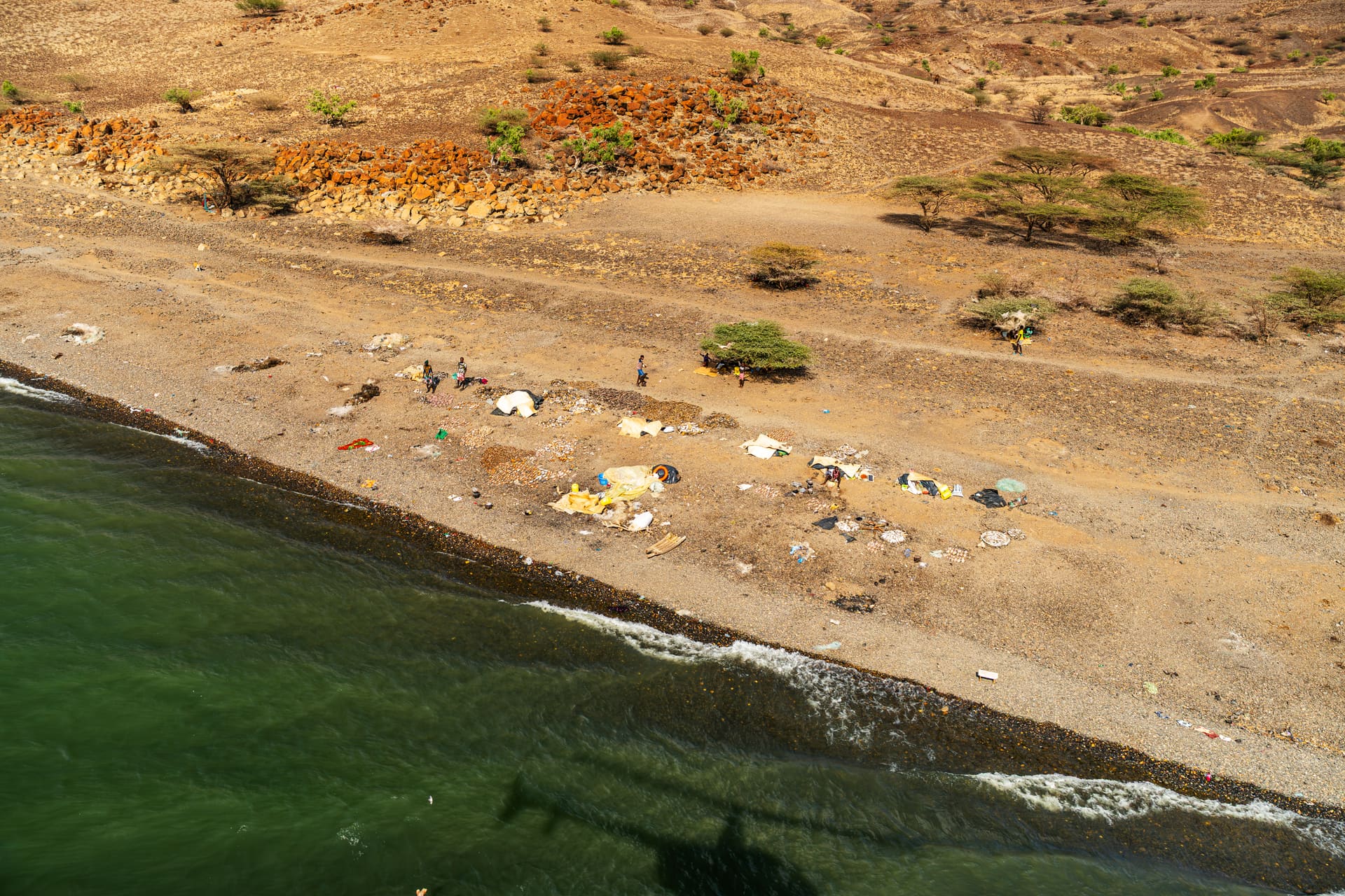 Rebuilding the conservation economy