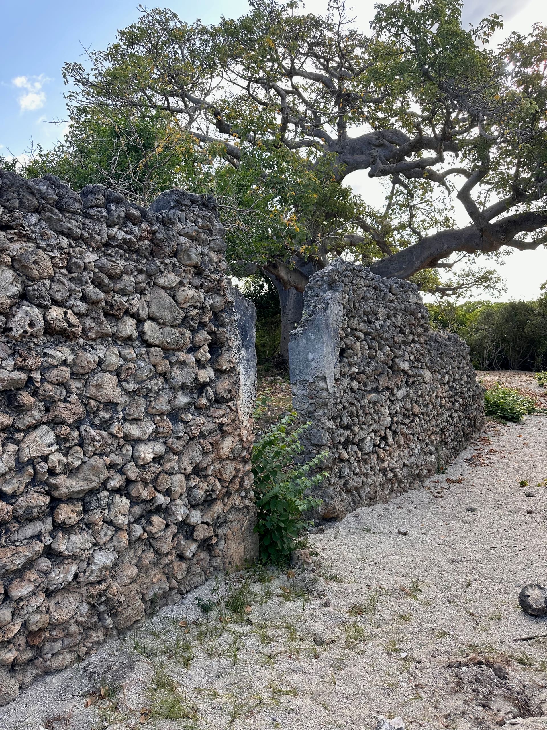 Manda Old Town ruins